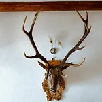 Casa Bangala Din Fundata Holiday home Brasov