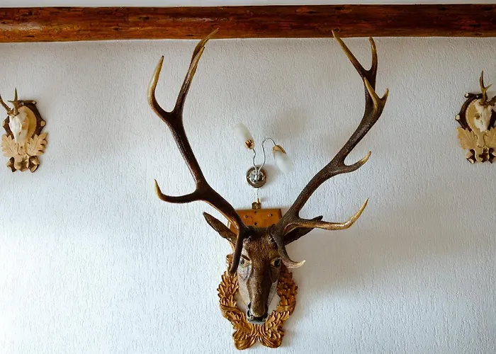 Casa Bangala Din Fundata Holiday home Brasov